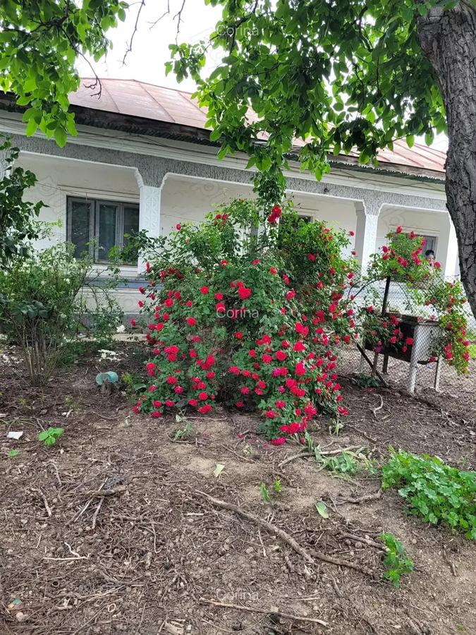 Casa cu teren aproape de Bucure?ti la 15 minute! - 4
