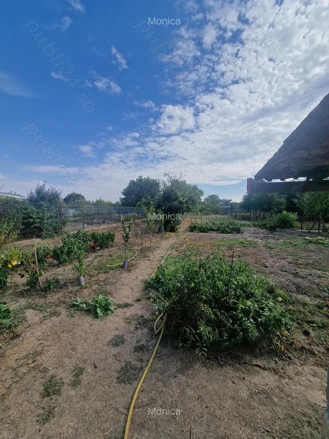 Casa de vanzare in Sannicolau Mare - 10 Casa de vanzare in Sannicolau Mare - 10