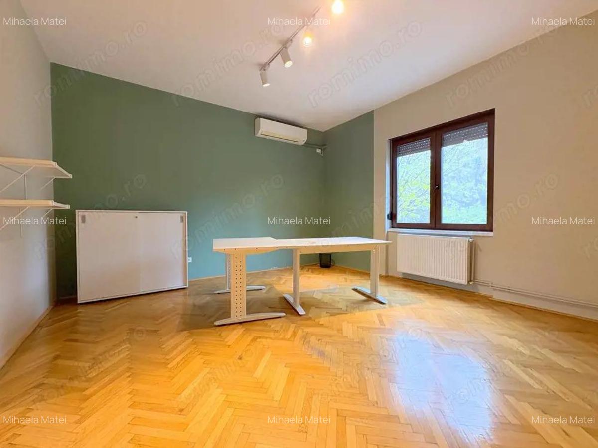 Spatiu birouri zona Centrala - Take Ionescu - 2