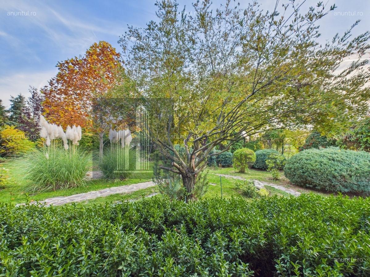 Snagov, vila individuala, curte amenajata, prosumator 8 kw - 13