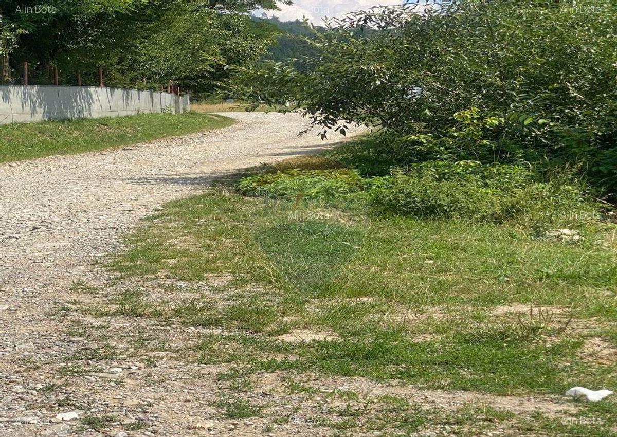 Teren de vanzare 8,700 mp Tarlungeni, comision 0 cumparator - 6