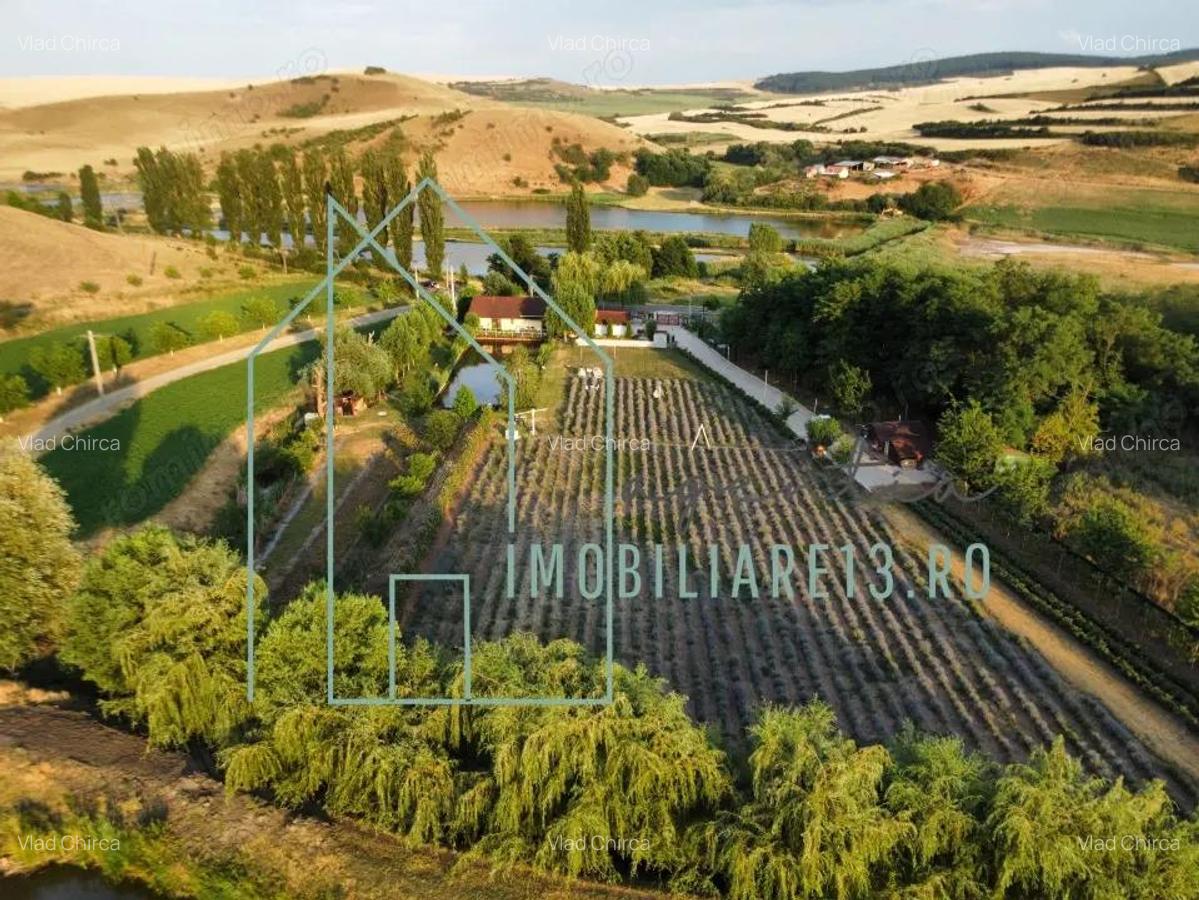 Domeniu, Afacere de vanzare, Sebe?, Alba, balta pescuit, ferma lavanda - 1