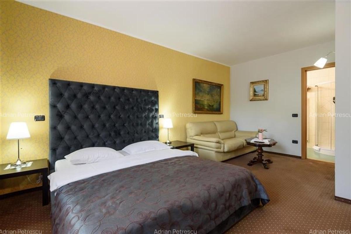 Langa Castelul Bran: Pensiune + restaurant + transfer afacere activa - 20