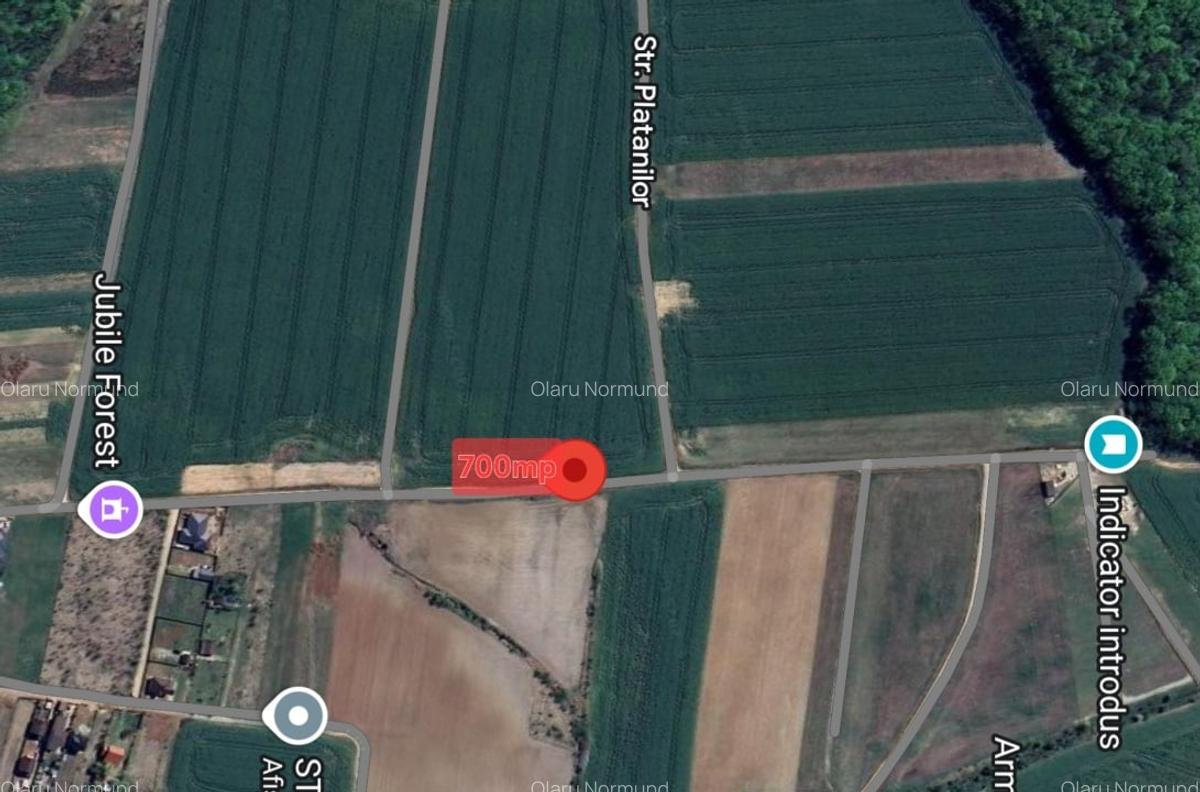 Teren intravilan ultimul lot de 700mp  Izvorani - Padurea Snagov - 1