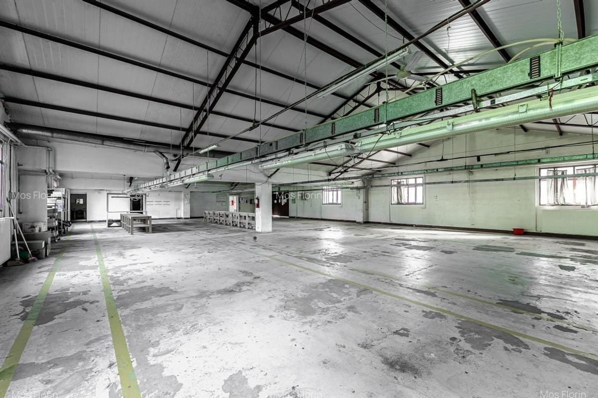 4.049 mp Hale industriale in Arad, aproape de A1 - 10