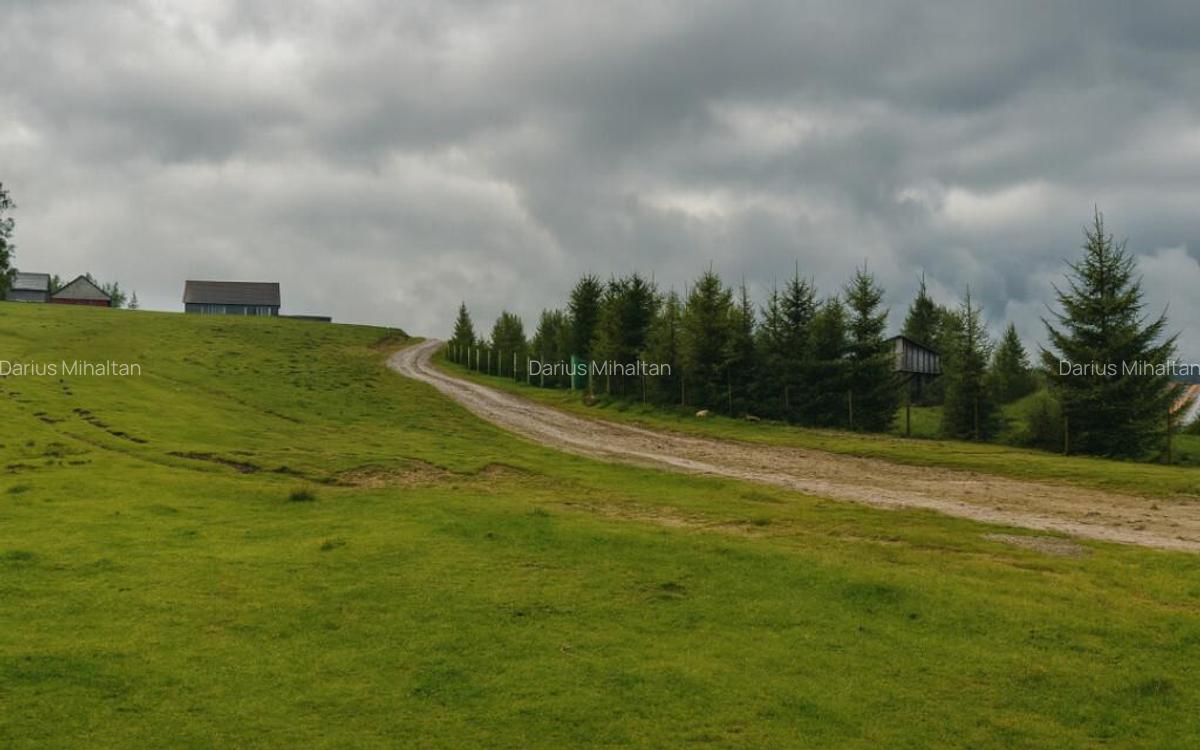 Teren 673mp cu PUZ in Paltinis - 3