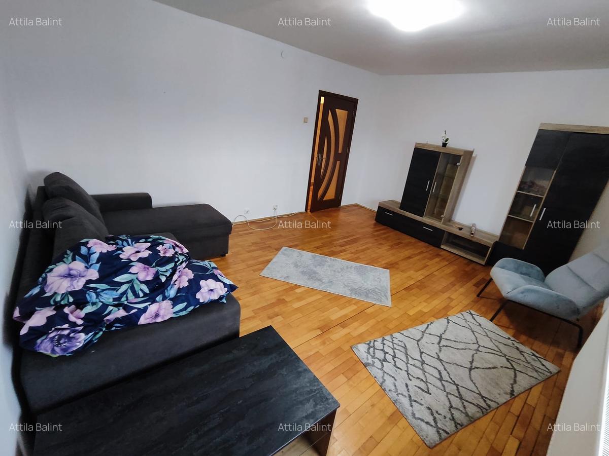 Sagului 3 camere 105000 euro - 5