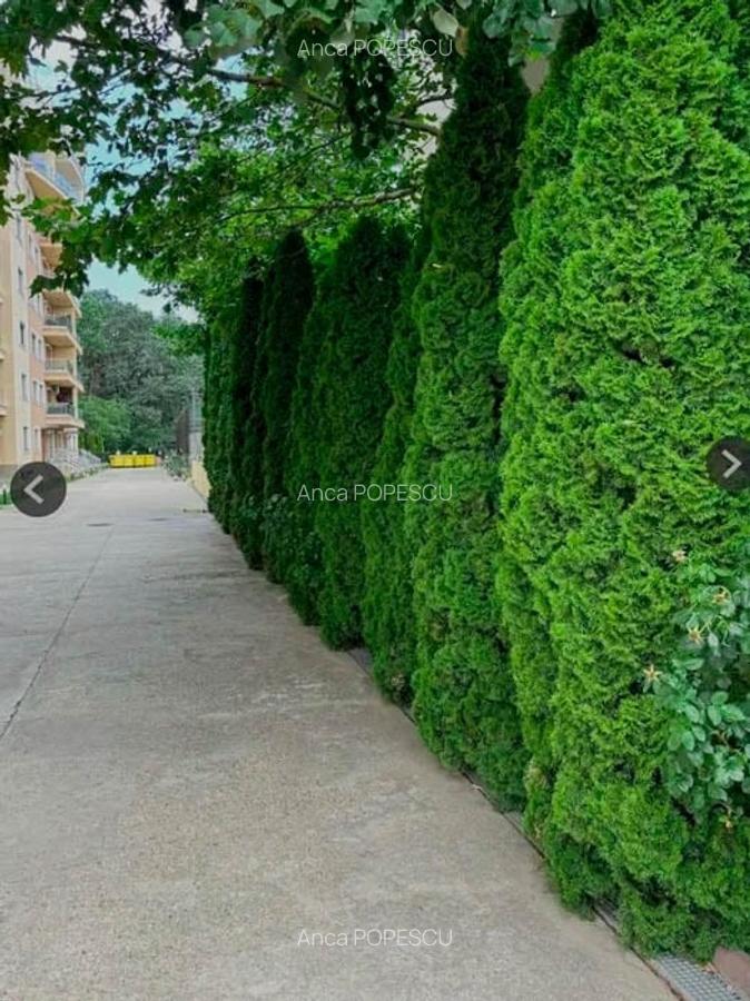 Apartament cu 3 camere semidecomandat, mobilat în Pipera - 4