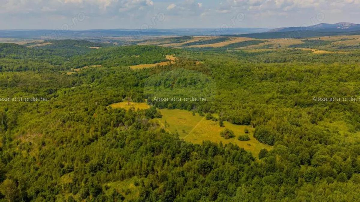 COMISION 0% Teren Grid/Inima Naturii/ Oportunitate de investi?ie - 9