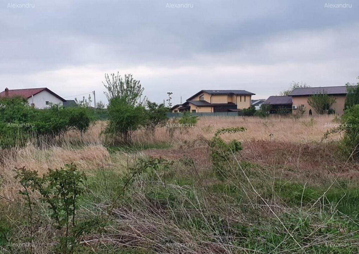 Lot teren Balotesti,langa case noi-50 m de asfalt 600mp - 11