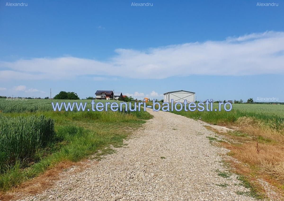 Teren cu vedere la lac Balotesti 600mp - 9