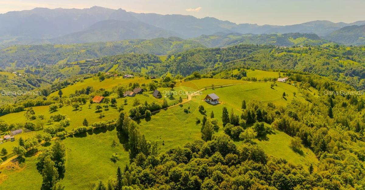 Teren extravilan 2,000mp Pestera / cabana vacanta/natura - 9