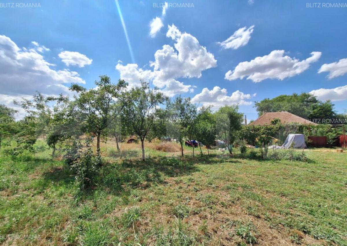 Casa cu teren intravilan, 4600 mp, investiitii/dezvoltare! - 7