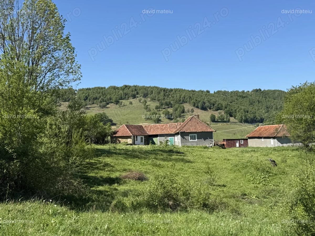 Vind casa in Tomnatic - 7