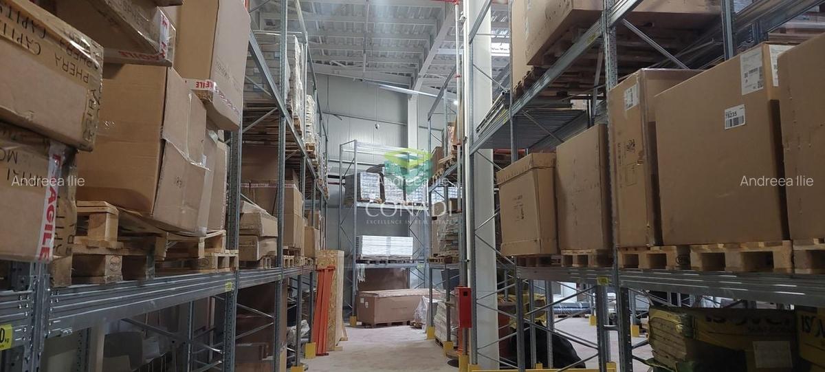 Ready to move in I HALA depozitare si birouri I MOGOSOAIA - 9