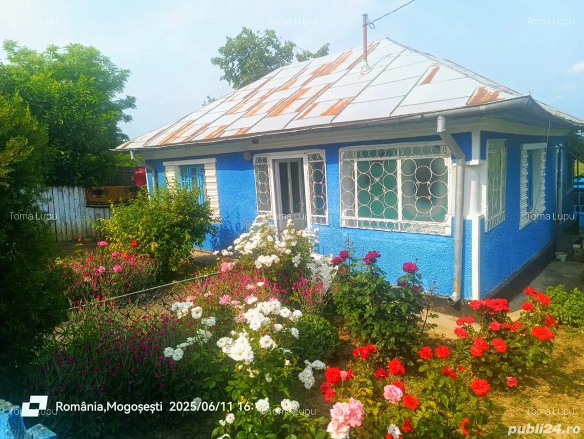 Casa si teren in loc Mogosesti jud Ia?i - 1 Casa si teren in loc Mogosesti jud Ia?i - 1