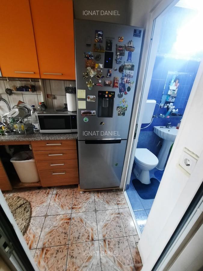 Apartament cu 3 camere, zona Alexandru - 6