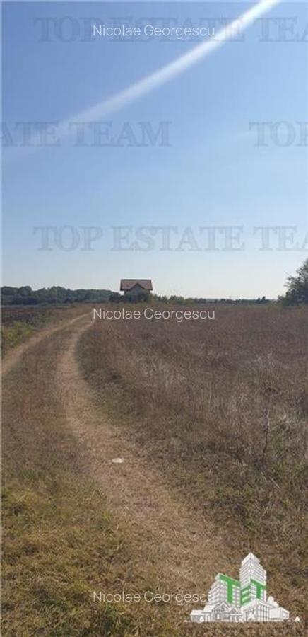 Teren intravilan 511mp in Corbeanca - 3