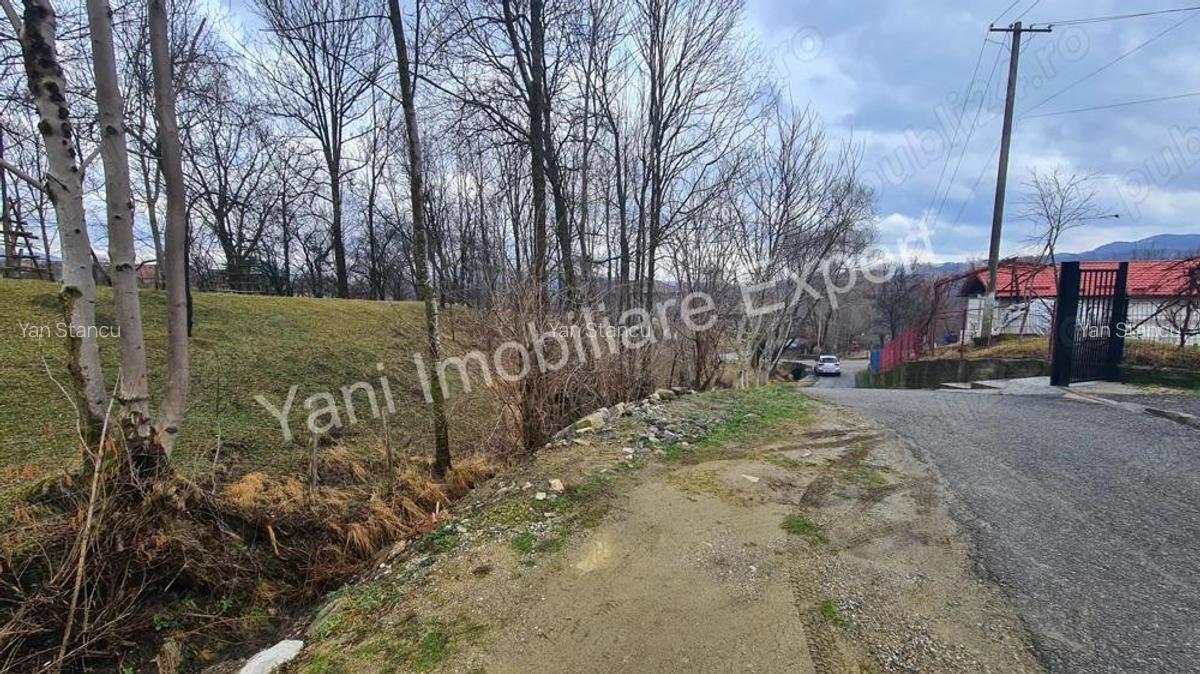 Teren de vanzare in comuna Arefu, jude? Arge?. - 16