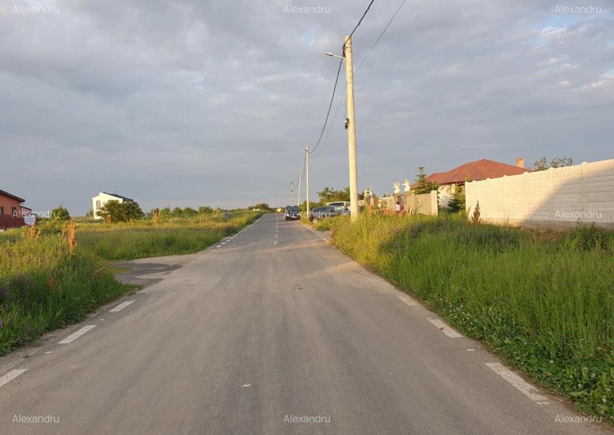 Lot teren Balotesti,langa case noi-50 m de asfalt 600mp - 2