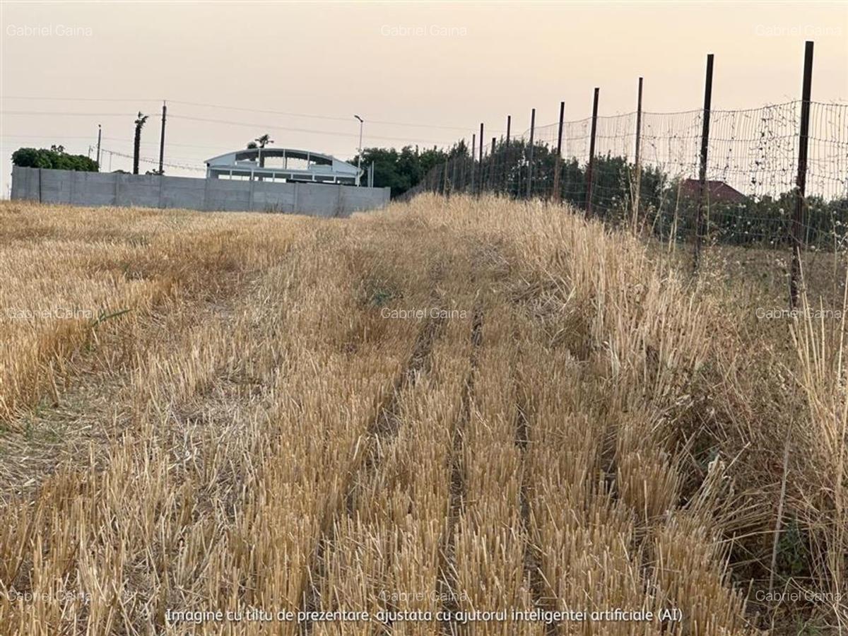 TEREN 2500MP BALACEANCA - 6