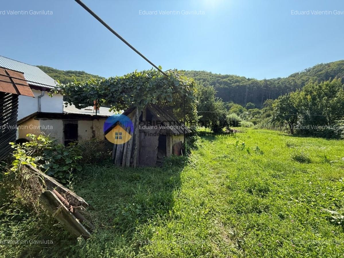 Casa batraneasca / Piatra Neamt / Pentru iubitorii de natura - 4