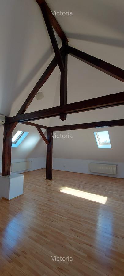 P-ta Alba iulia -strada cu Magnolii,5 camere,renovata,libera,vila eleganta - 10