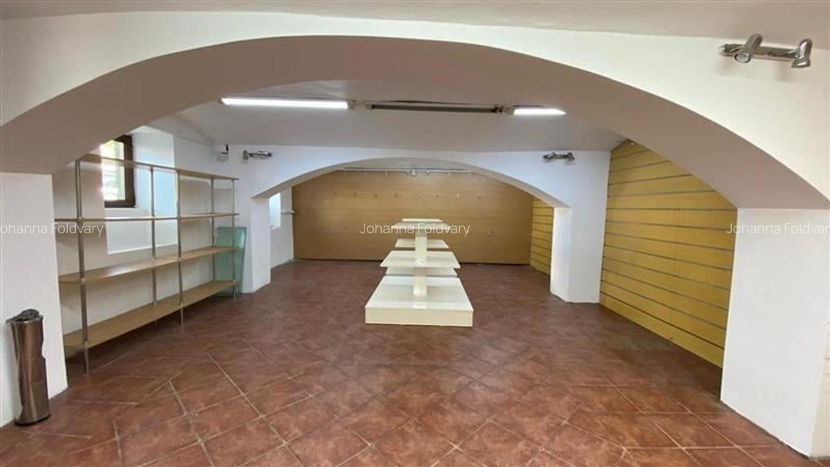 Spatiu de inchiriat la demisol cu intrare de pe strada 16 Decembrie - 3
