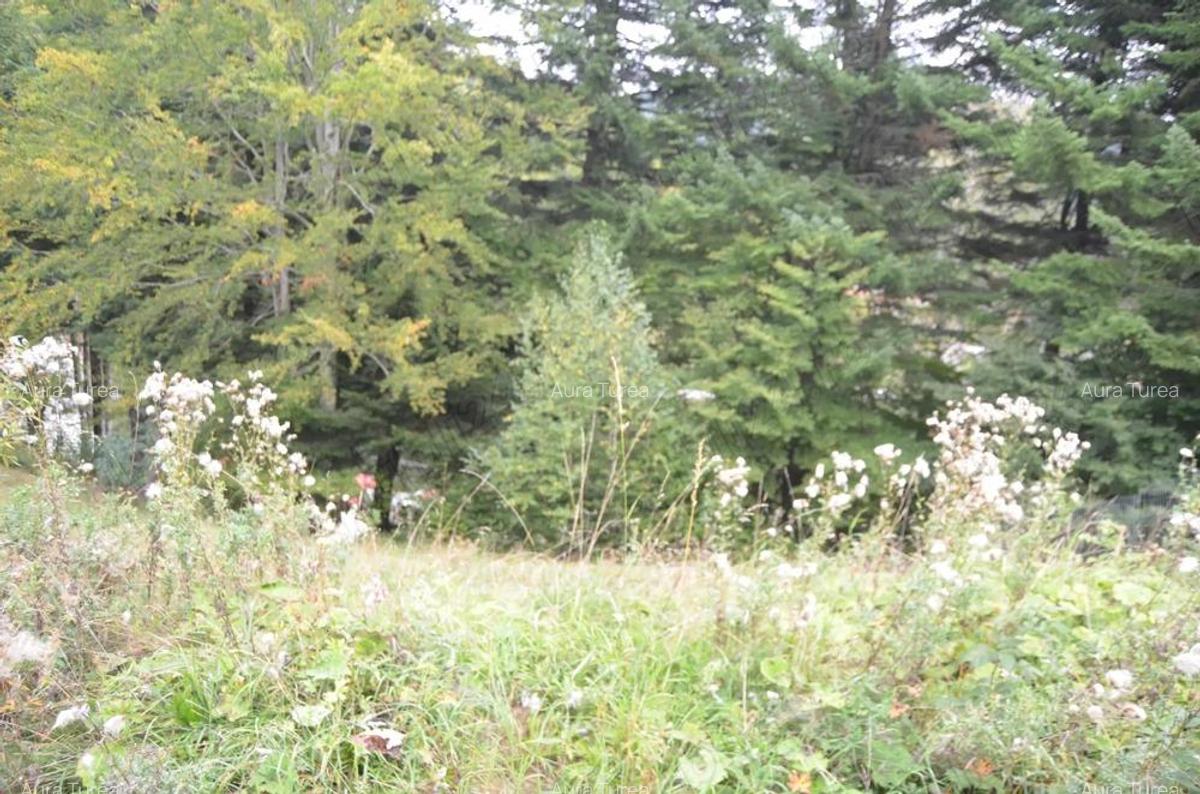 Teren intravilan situat in Busteni-Valea Alba - 1