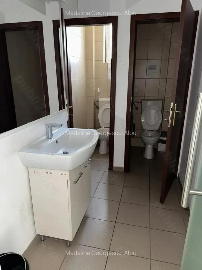 Theodor Pallady stradal birou 410 mp utili LIBER - 13