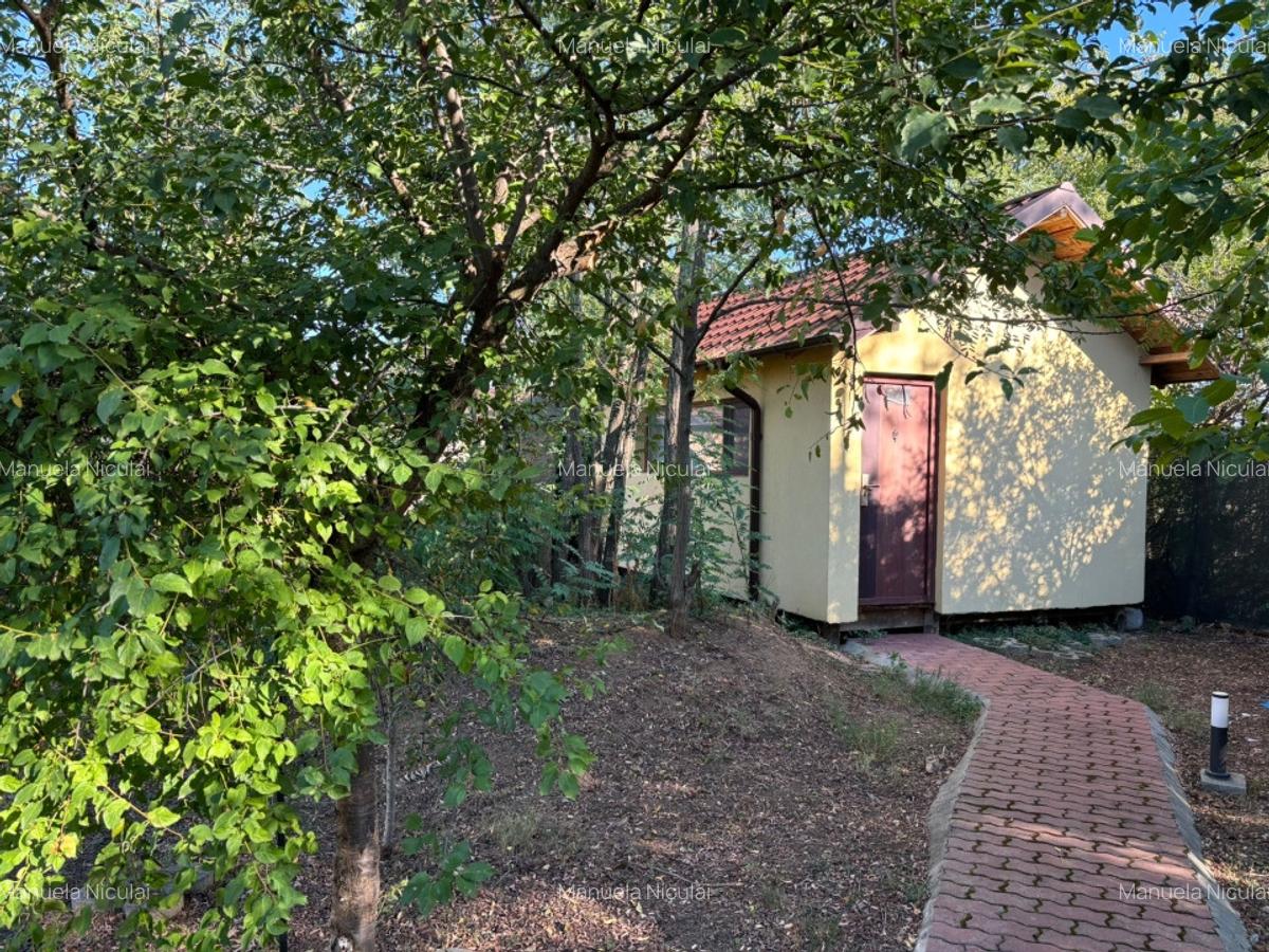 Proprietar vila spatioasa cu 7 dormitoare mobilata si utilata - 3