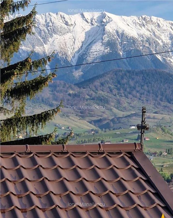 7.000 mp, pozitie spectaculoasa, fara vecini, Fundatica, Bra - 17