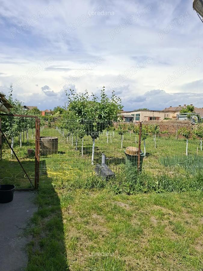 Vand casa Teremia Mare - 5