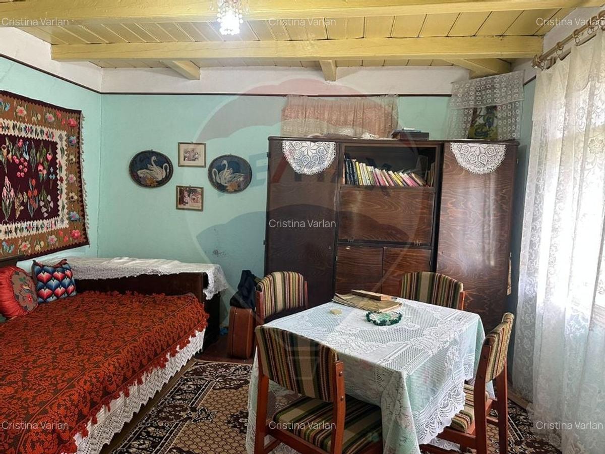 Teren intravilan 4.779 mp + casa si anexe - Girov, Neamt - 7