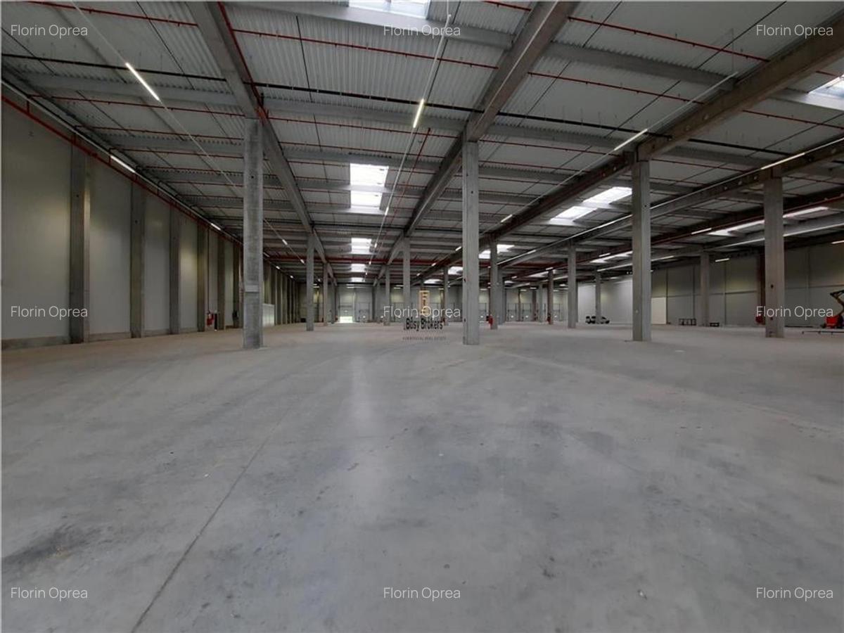 Spatiu Industrial - 4500 mp - Logistica - Productie - Depozitare - Distributie - 3