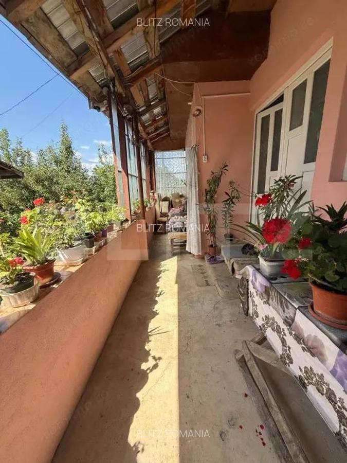 Casa cu teren 1000 m Drajna - 4