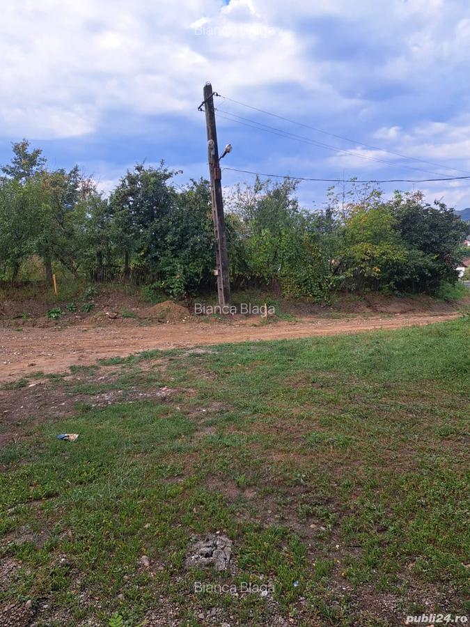 Casa + teren 1400 mp in Galgau, Salaj 3 camere, anexe, zona verde, 20 km de Dej - 8