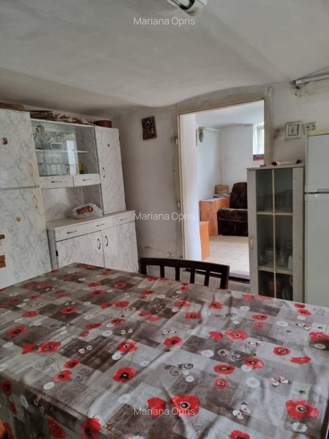 Proprietate spre vanzare,  formata din 2 case suprafata totala 440 mp - 14