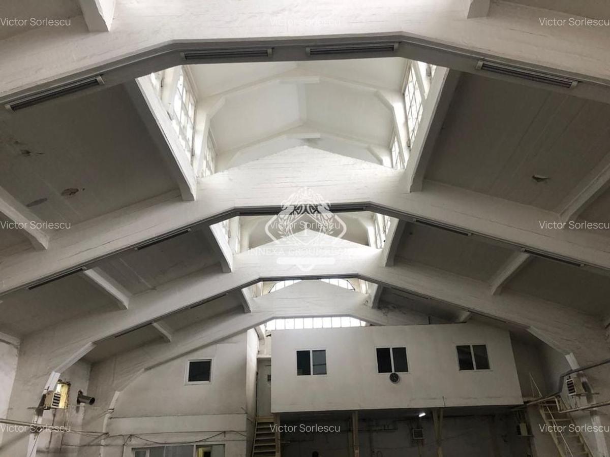 Basarabia - Costin Georgian | Hală industrială - 4