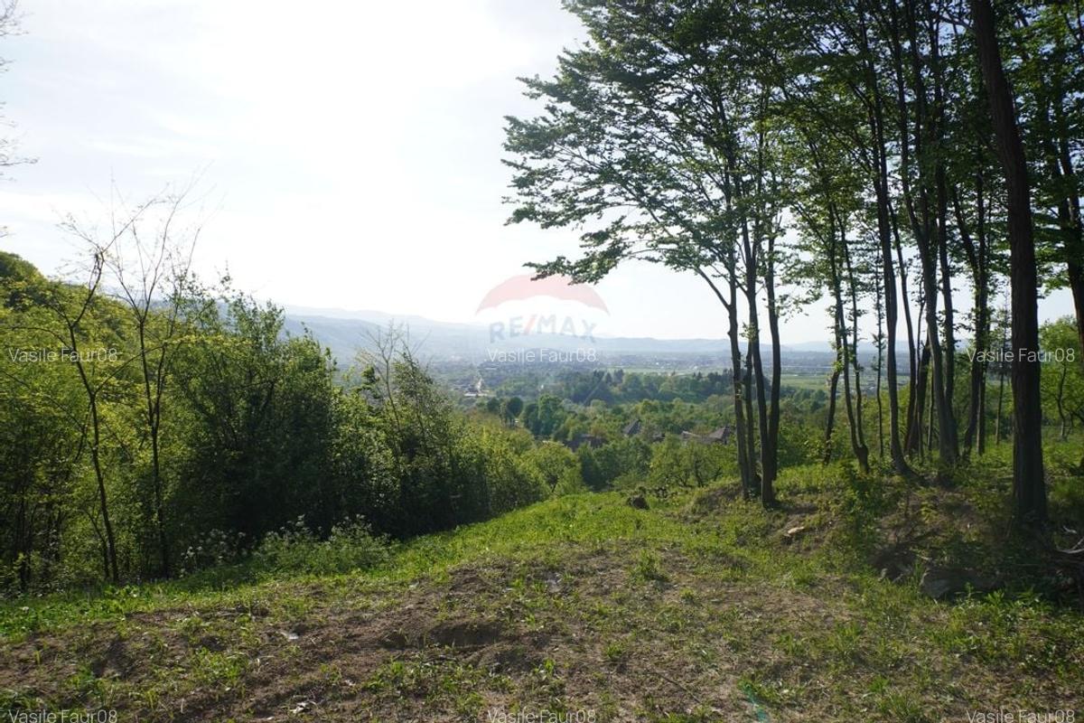 Teren 15,000mp Sighetu Marmatiei / Strada Mocanitei - 9