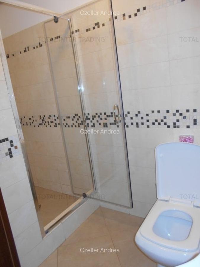 Inchiriere garsoniera Dr Taberei -Prel Ghencea-Sunrise,3/5,CT,AC,parcare,350€ - 15