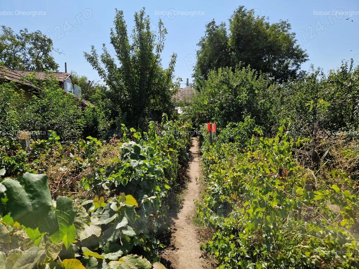 Casa + curte 900m2, comuna Daneti, jud Dolj - 3