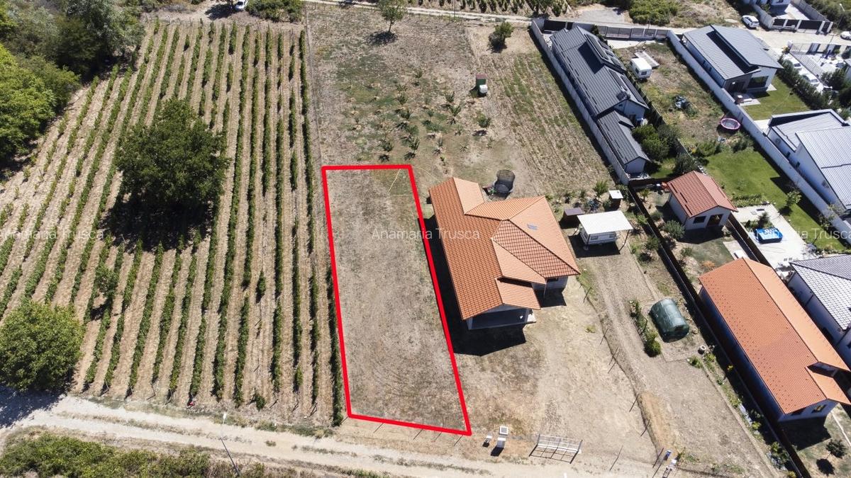 Teren de vanzare intravilan Carcea, 500 mp, toate utilitatile - 1