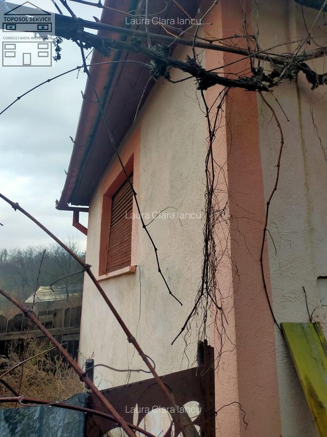 Casă cu 3 camere în Ineu - 5