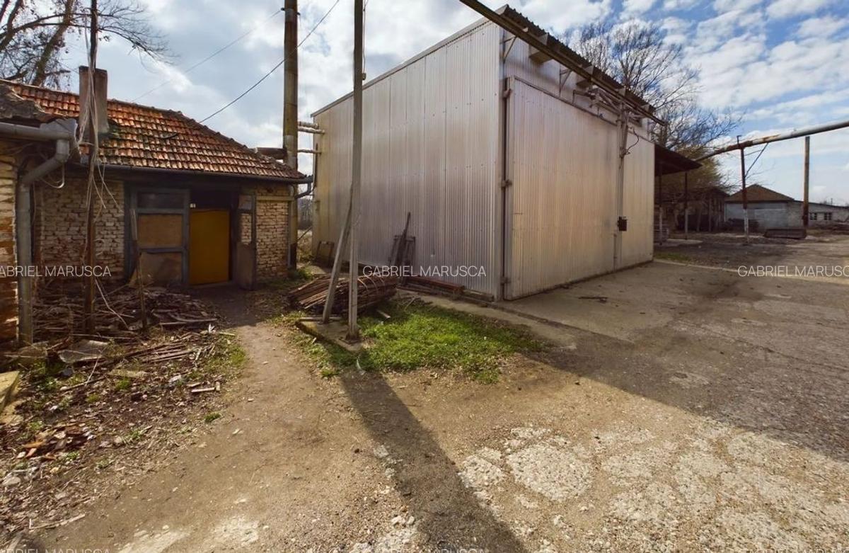 Fabrica prelucrare lemn de vanzare - Lipova, Arad - 10