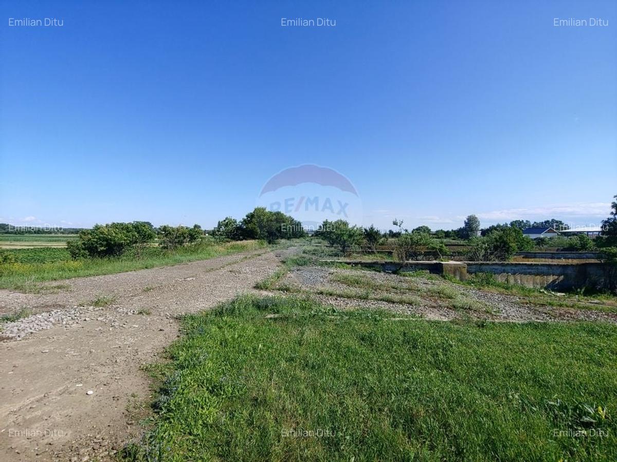 Spatiu industrial de 480mp+teren de 15069mp in Dornesti, Suceava - 19