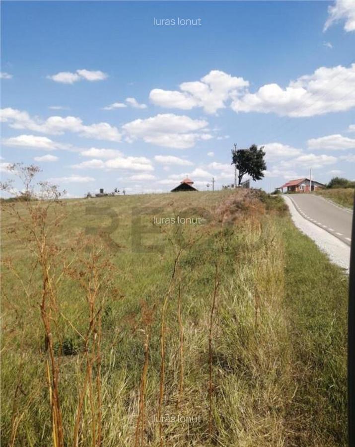 RECO, Teren in Pausa, Nojorid - 4