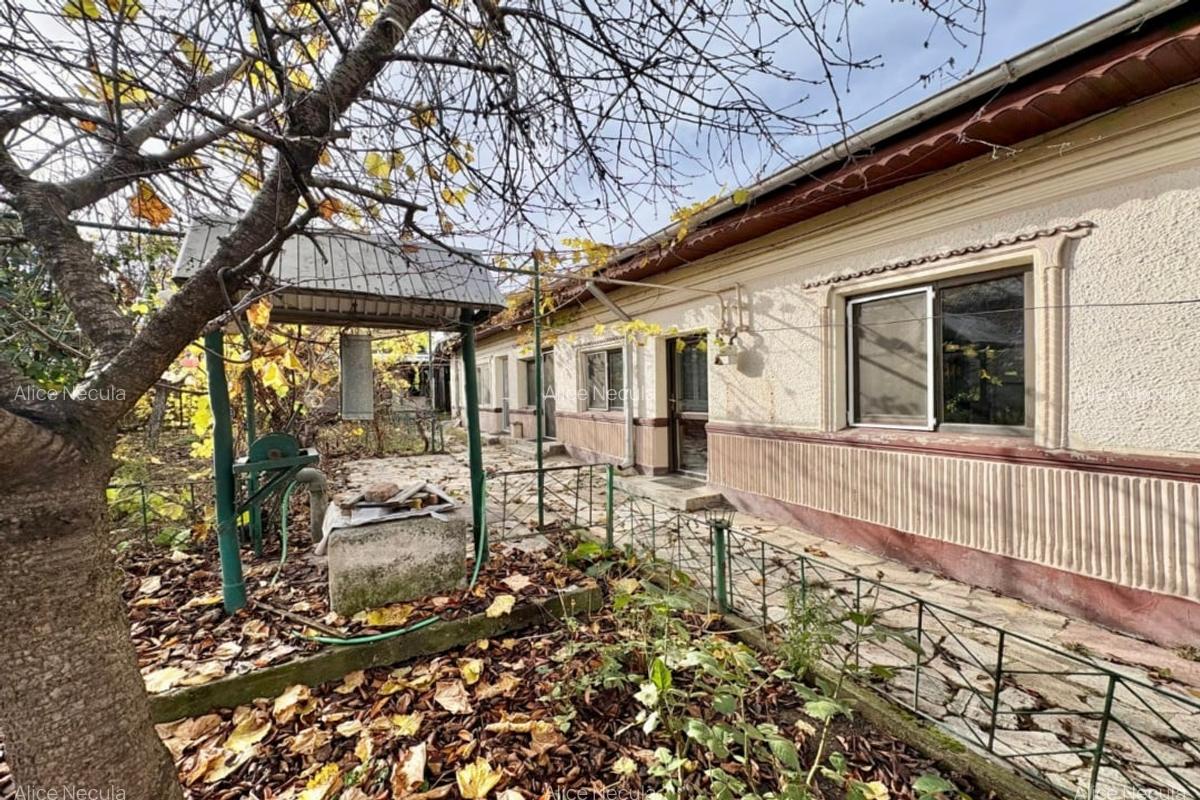 Chitila – T. Vladimirescu, casa individuala 4 camere, lot 530 mp. - 4