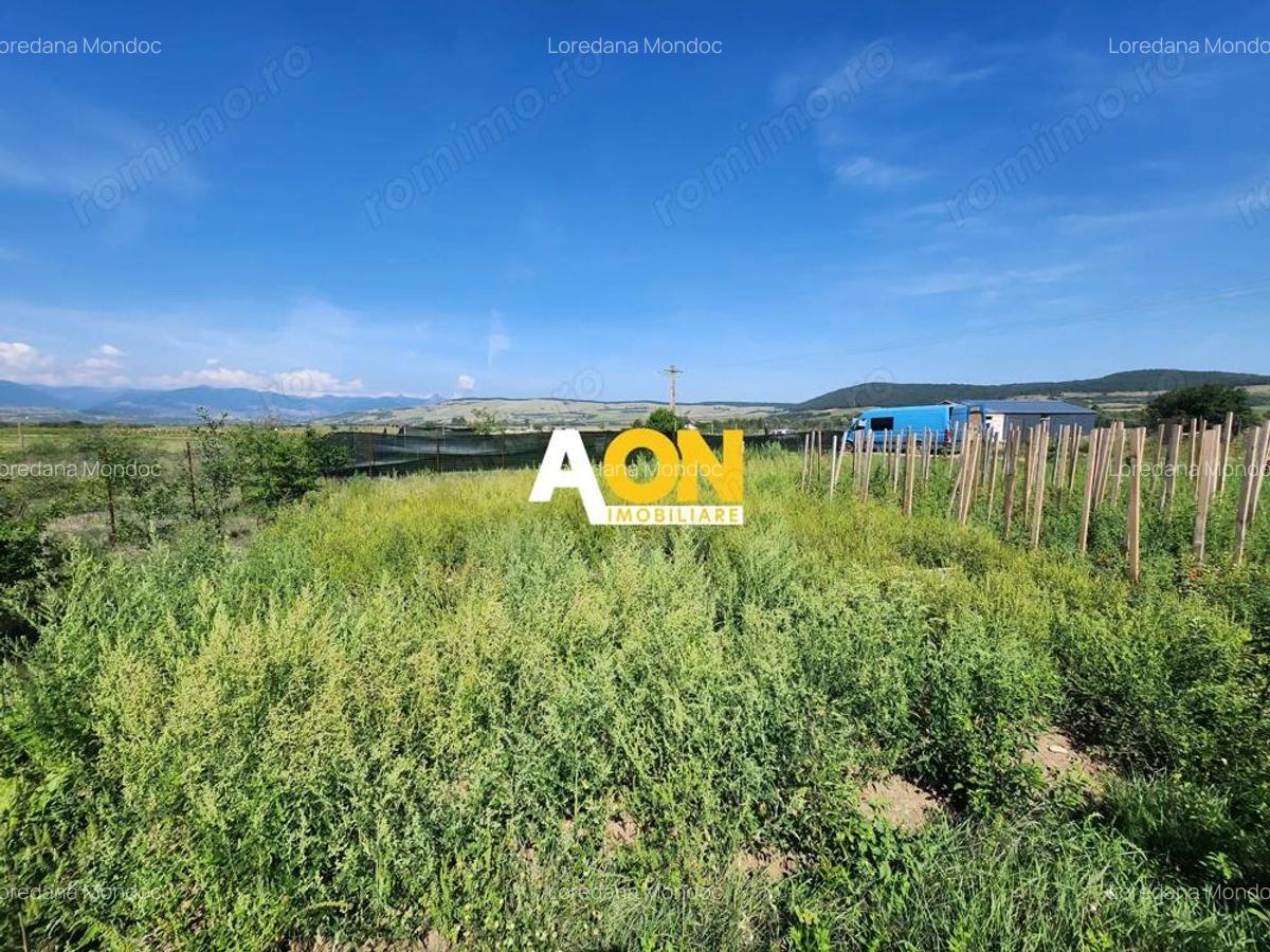 De vanzare teren intravilan 441mp, Micesti - 8