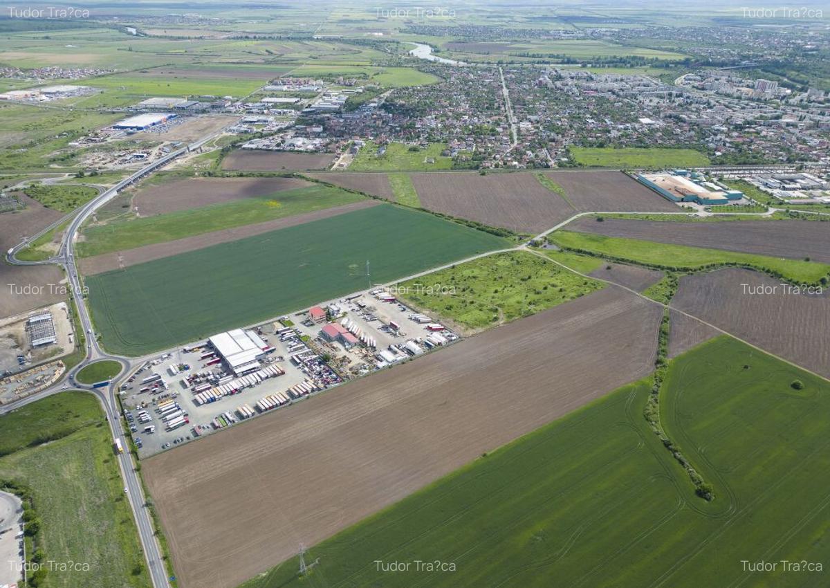 Teren de 29,600mp in zona de centura Nord - 31